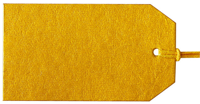 Gold Luggage Tag S/20